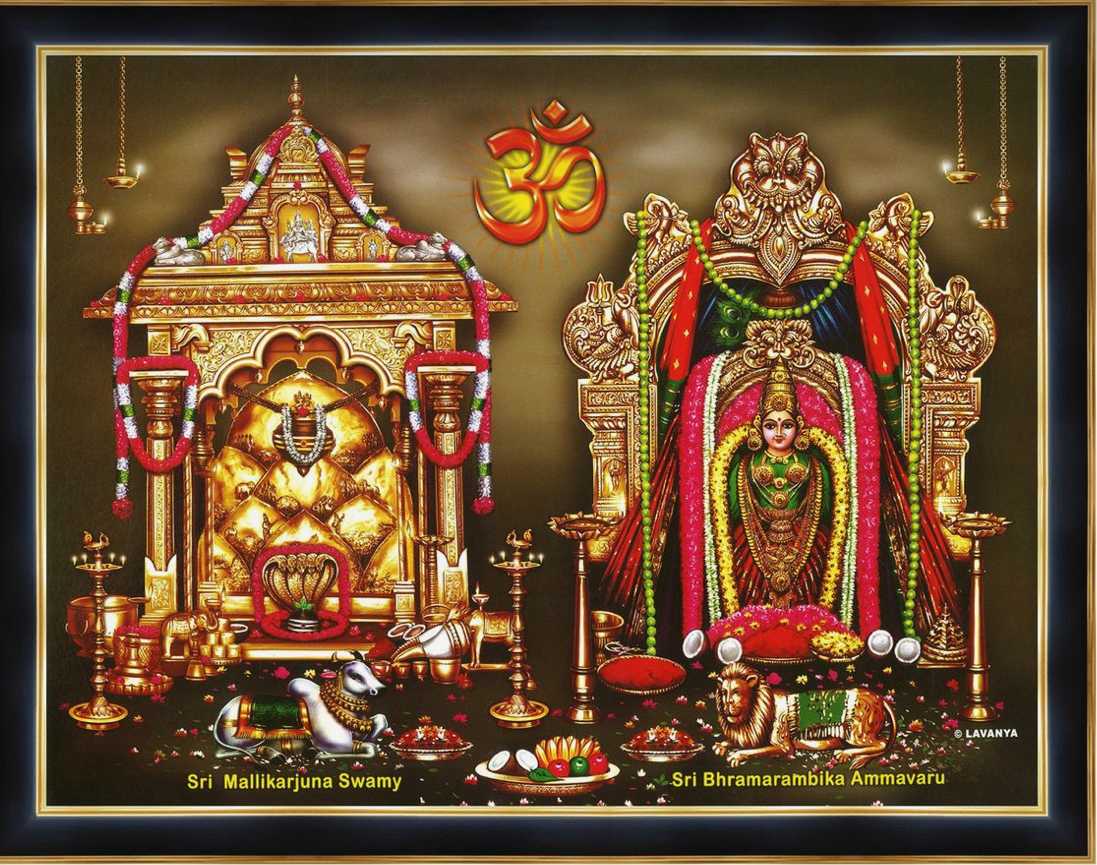 Srisailam Dharshan 1Day Yatra